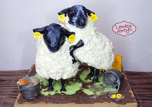 Ovce dort