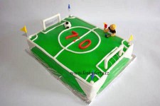 3D dort fotbalové hřiš