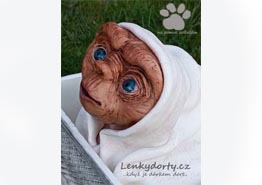 E.T. dort