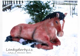 Dort kůň