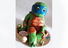 Ninja Leonardo 
