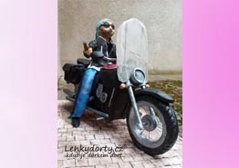 Dort motorka