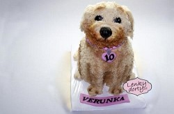 3D dorty